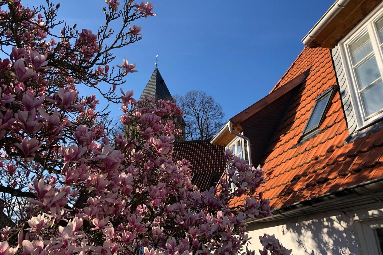 Dudenhaus Soest / Anno 1554 / Am Brauhaus Zwiebel 외부 사진